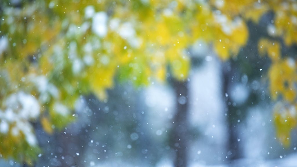 小雪节气：文化意蕴与传统习俗解析