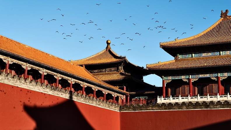 文化碰撞与着装规范的边界探讨