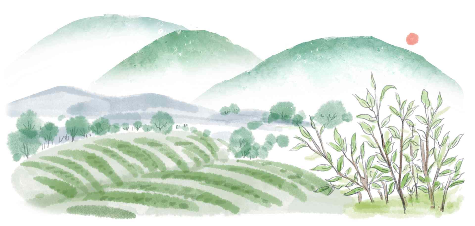 云县冬日暖阳之旅，领略山水茶香与人文风情