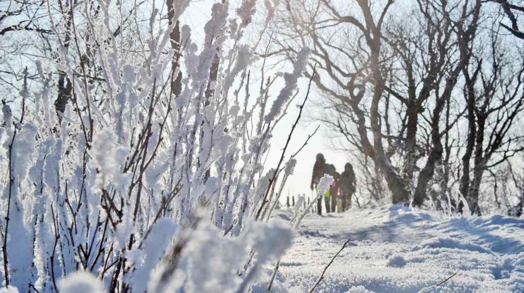 冰雪旅游营销转向品牌竞争，四大趋势引领高质量发展