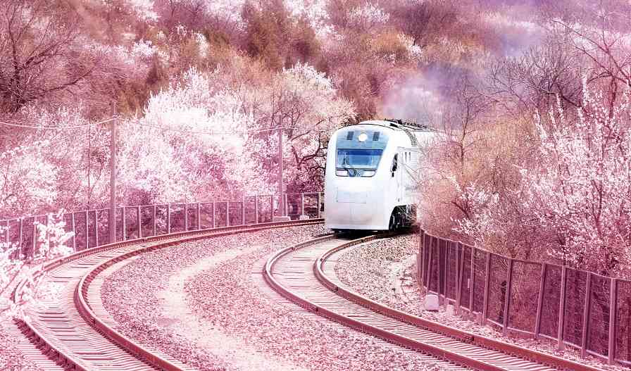 旅行如何成为心灵疗愈与自我成长的新选择