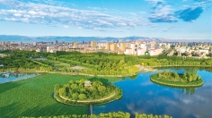 旅游广告新趋势：IP赛事与在地体验如何重塑城市吸引力