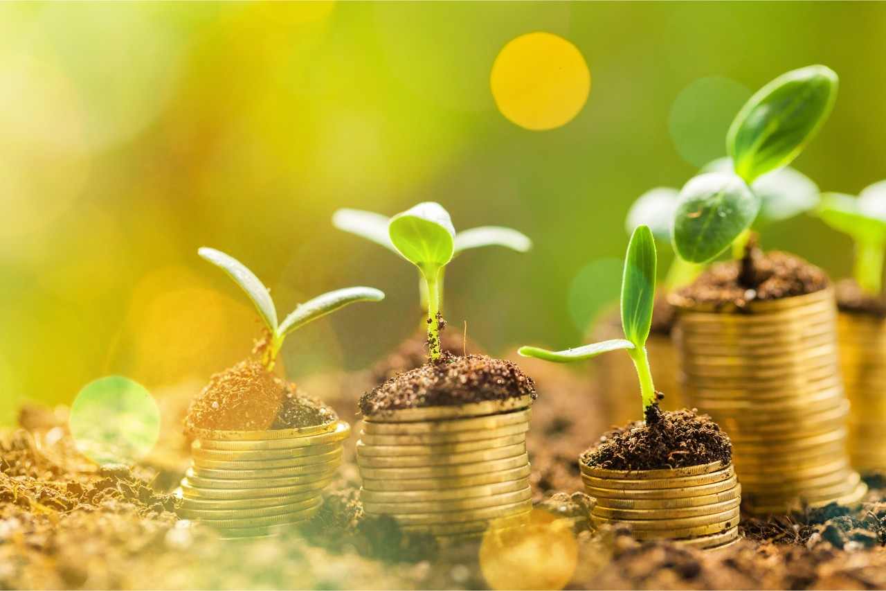 旅游业投融资趋势解析：把握结构优化与效能驱动新机遇