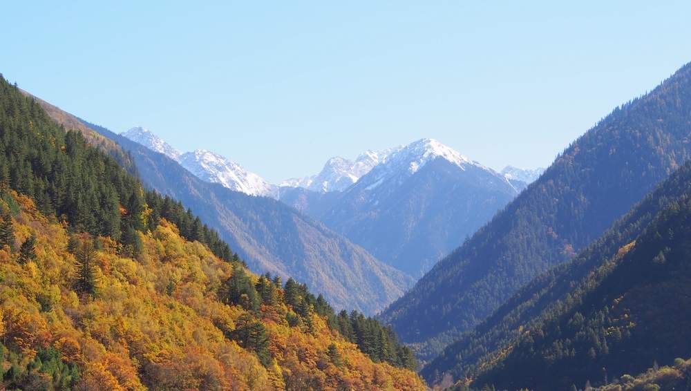 李庄：千年古镇的风貌重现与文化传承之旅