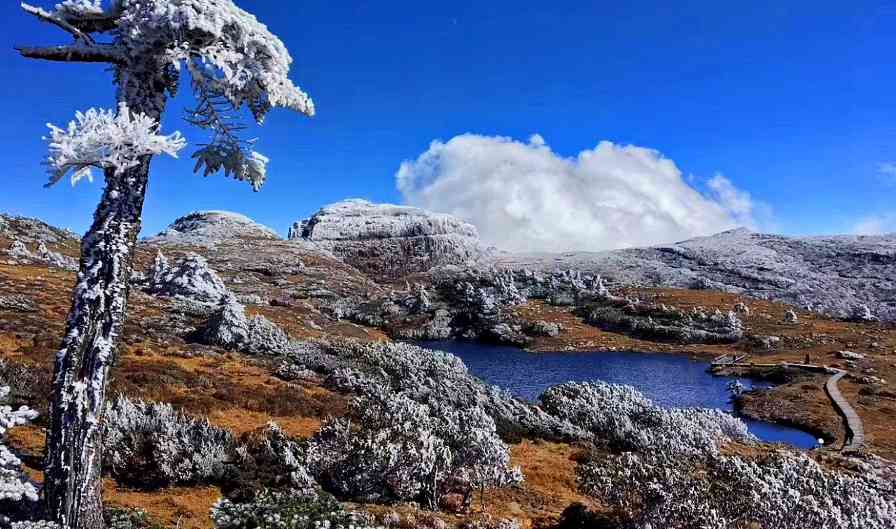 昆明轿子雪山四季游玩攻略与自然风光体验