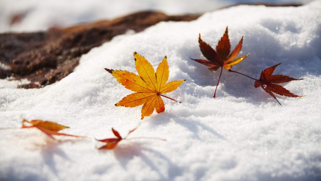 大寒节气与文化意义：寒冷时节的人生启示