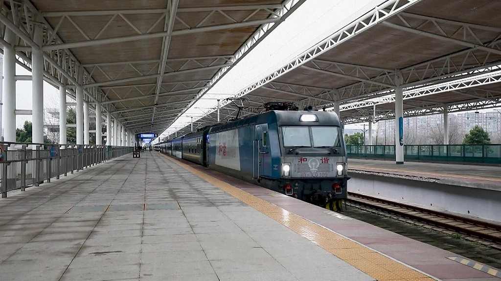 银发族赏花专列升温，铁路积分优惠助推春季游