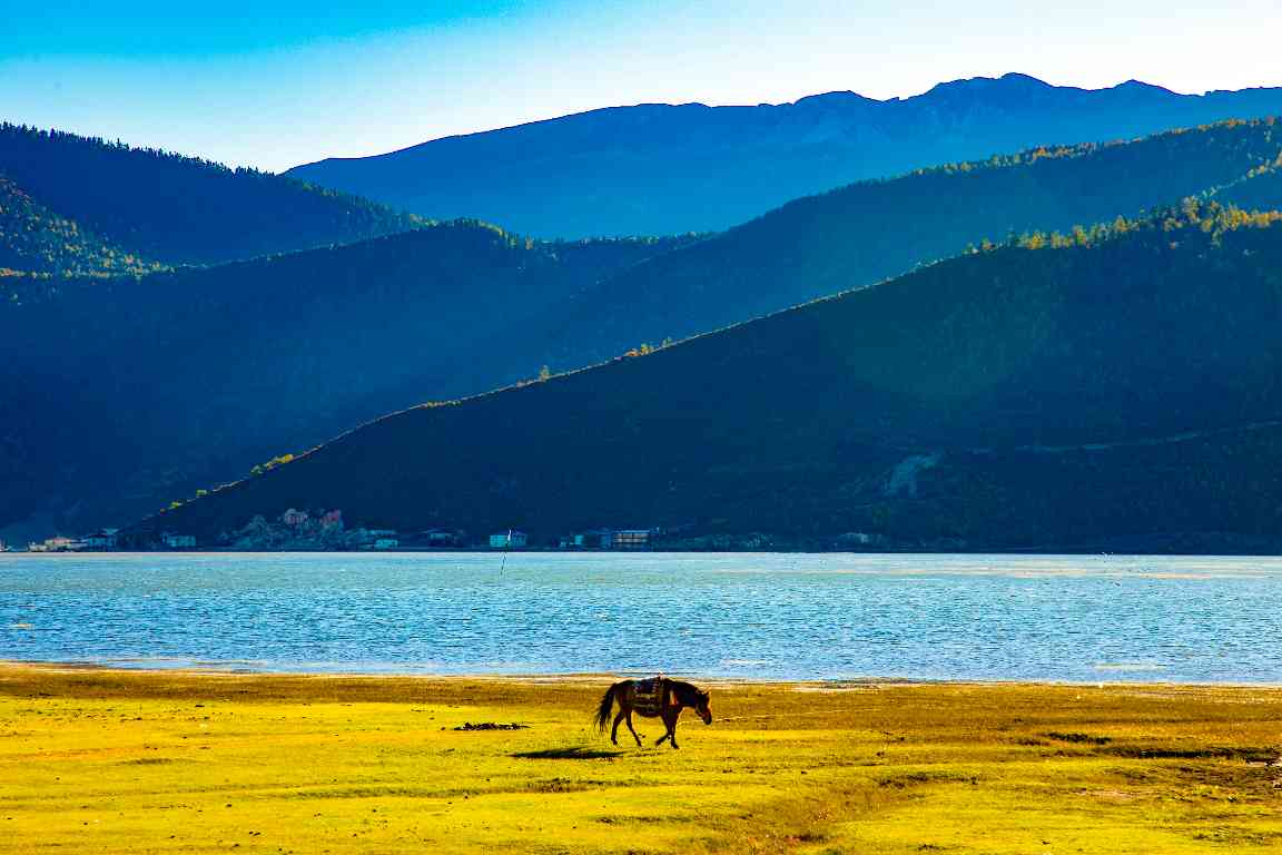 乡村旅游升级路径：精准定位与文化赋能的实践经验