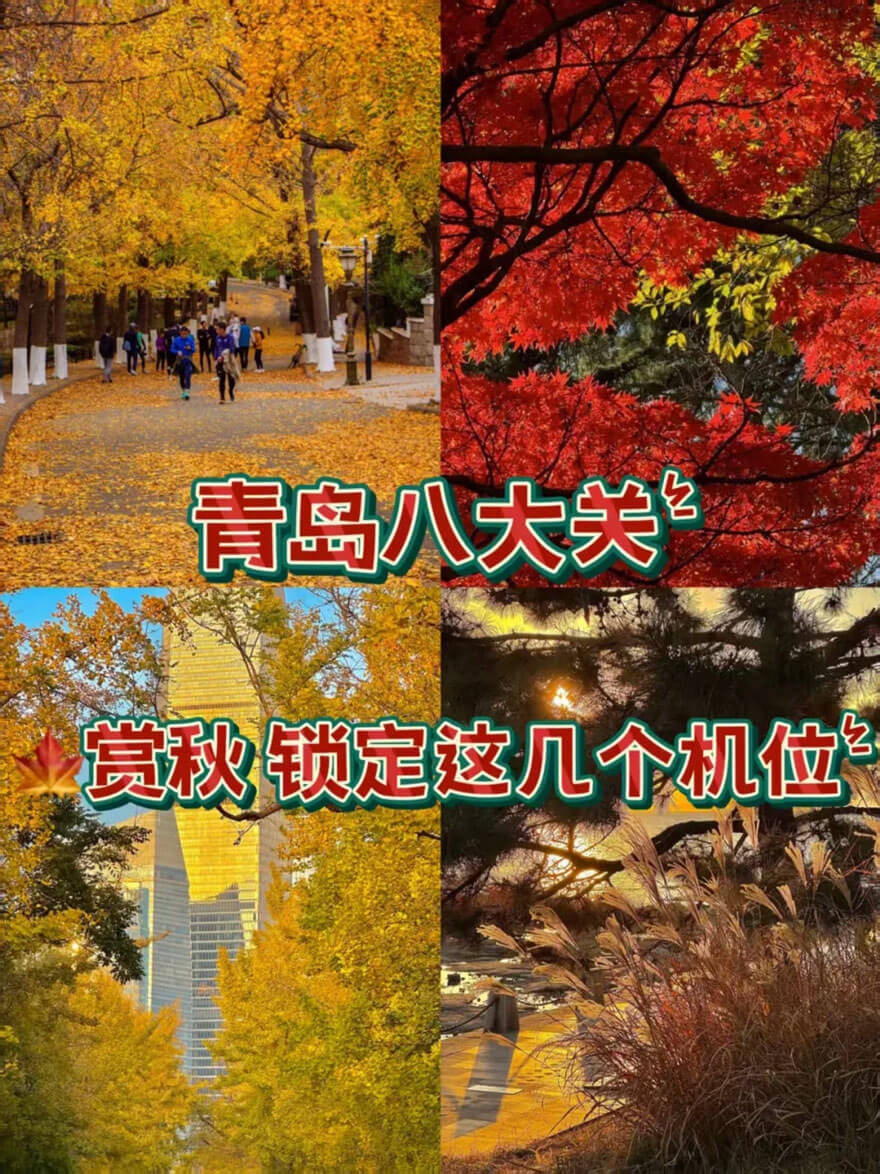 11月份山东青岛八大关.jpg