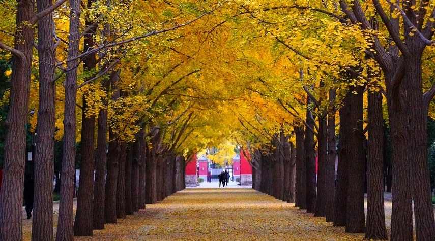 林白水故居寻访：一代报人刚正不阿的传奇人生