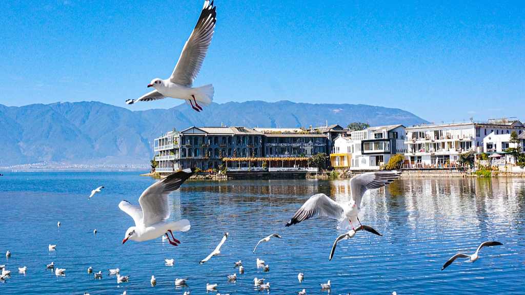 云南旅居人数突破320万 游客接待量超11亿人次促旅游产业升级