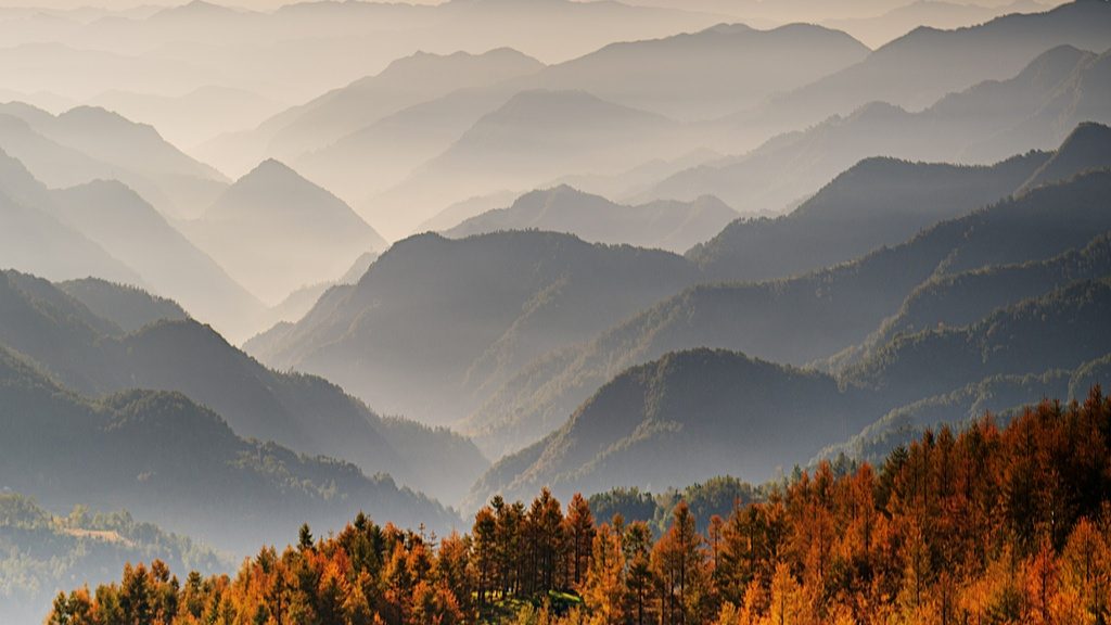 VR沉浸式文旅体验火热发展，年终演出市场迎来压轴大戏