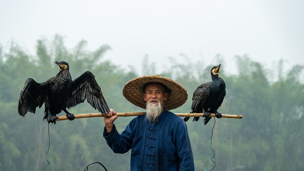 文化遗产与现代融合发展的创新路径探索