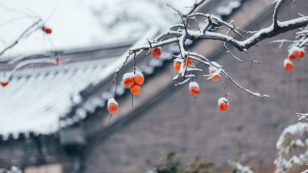 立冬节气即将到来：冬季第一个节气的传统文化与养生智慧