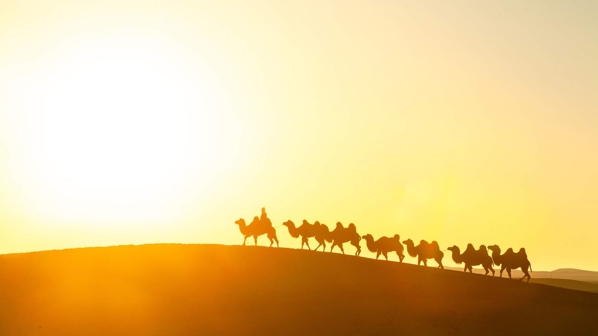 丝绸之路旅游城市联盟国际旅行商大会举办 探讨文旅合作新机遇