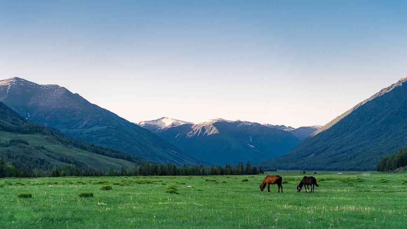 阿勒泰秋季自驾游火爆，阿禾公路成新晋网红打卡地
