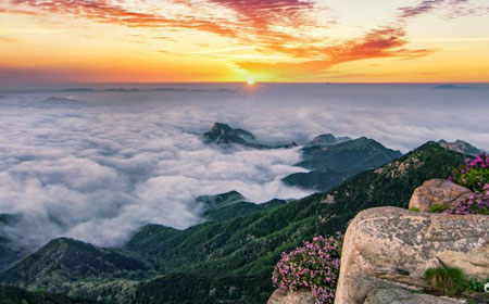 泰安小众景点大揭秘：10个本地人都不知的隐藏秘境