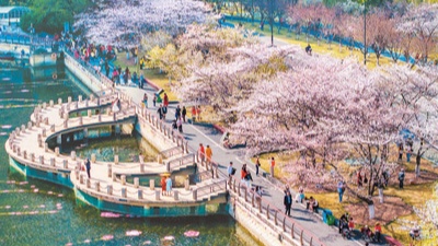 春日经济崛起：赏花游带动文旅消费新热潮