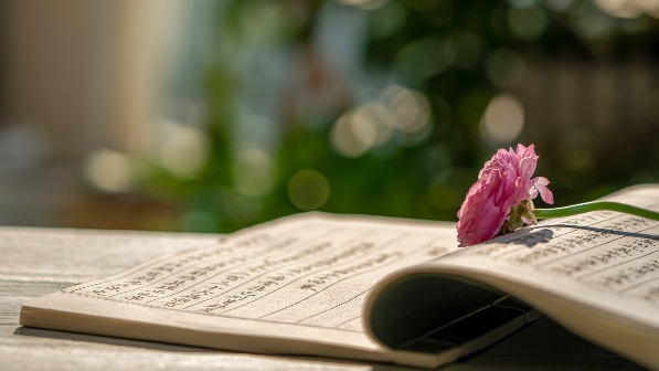 中华文化出海如何破局：文脉筑基生态扩圈算法破局三大策略