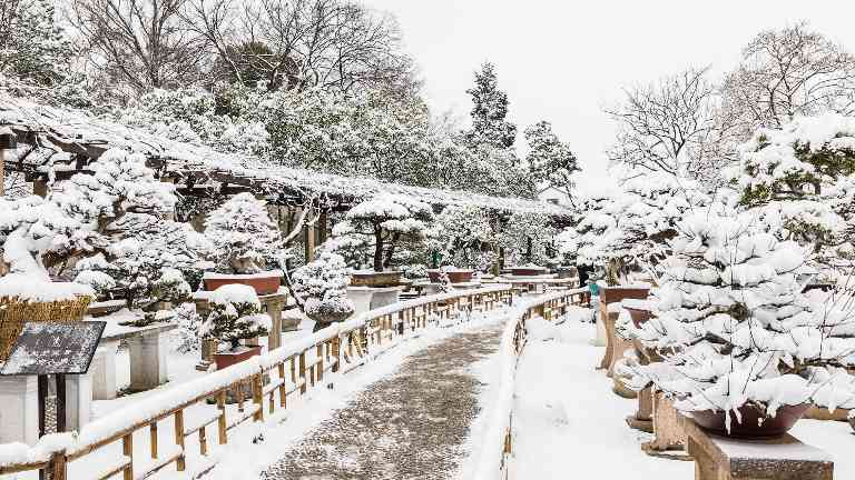 冬季文旅消费迎来