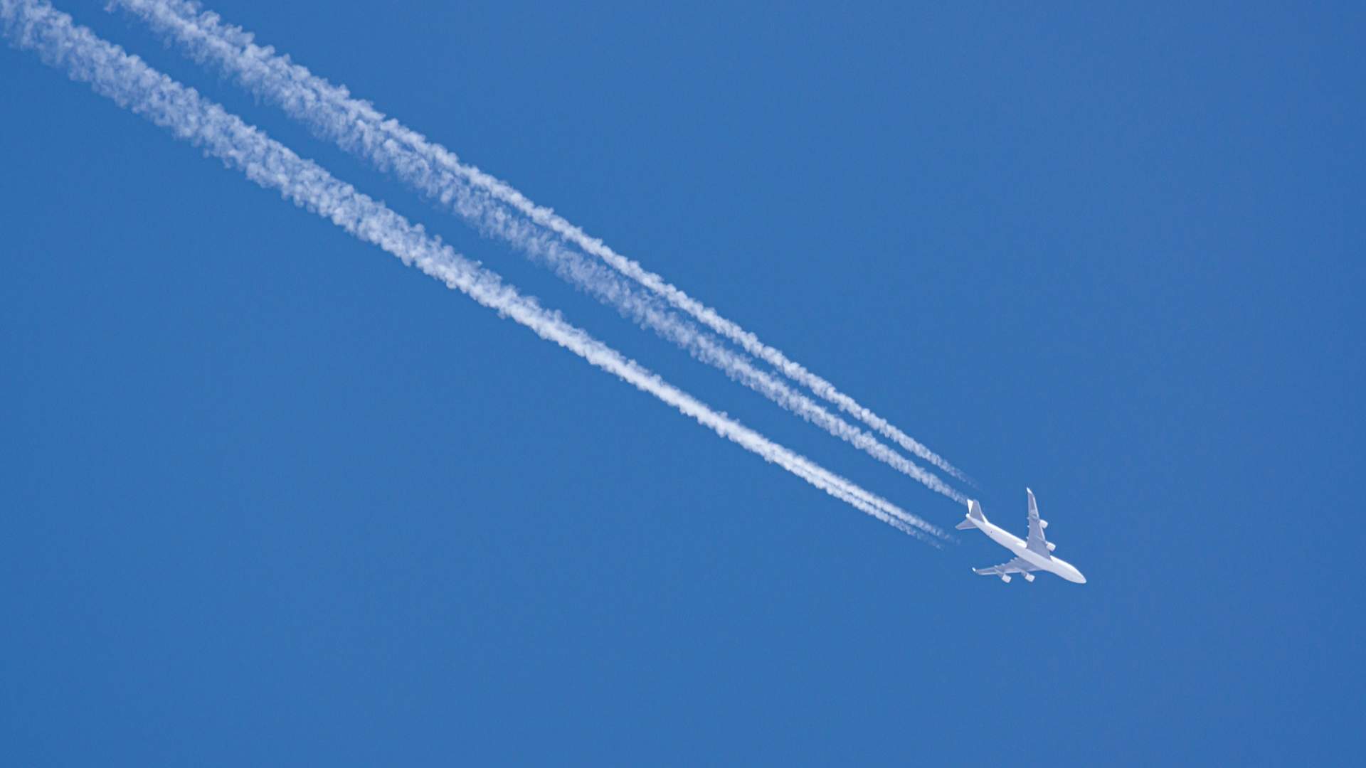 航空公司密集开通国际航线抢占春节出行市场