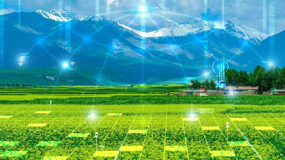 科技游持续升温，文旅融合打造沉浸式体验新蓝海