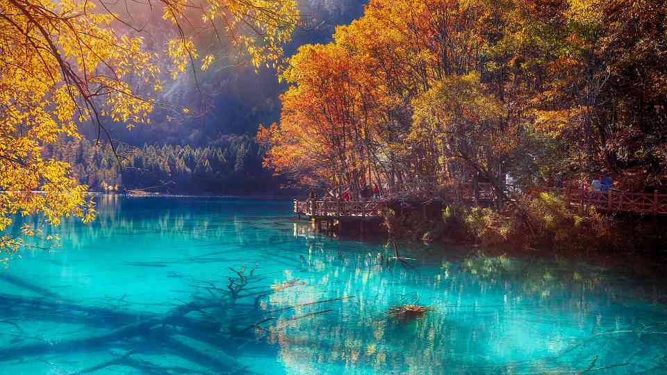 九寨沟2025年游客突破600万创历史新高，入境游增长45.6%