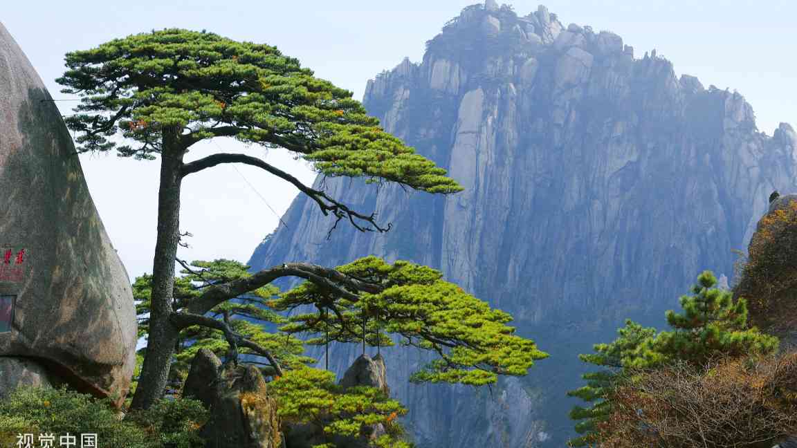 文旅部公布旅游市场整治典型案例 严打强迫购物等违法行为