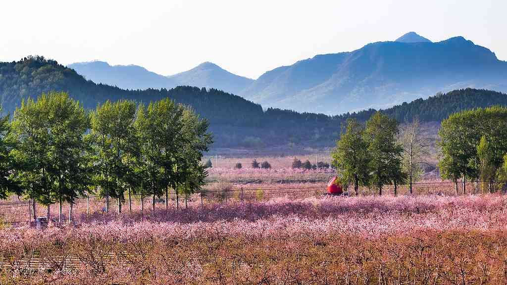 青年艺术家深入乡村用艺术唤醒古老村落文化记忆