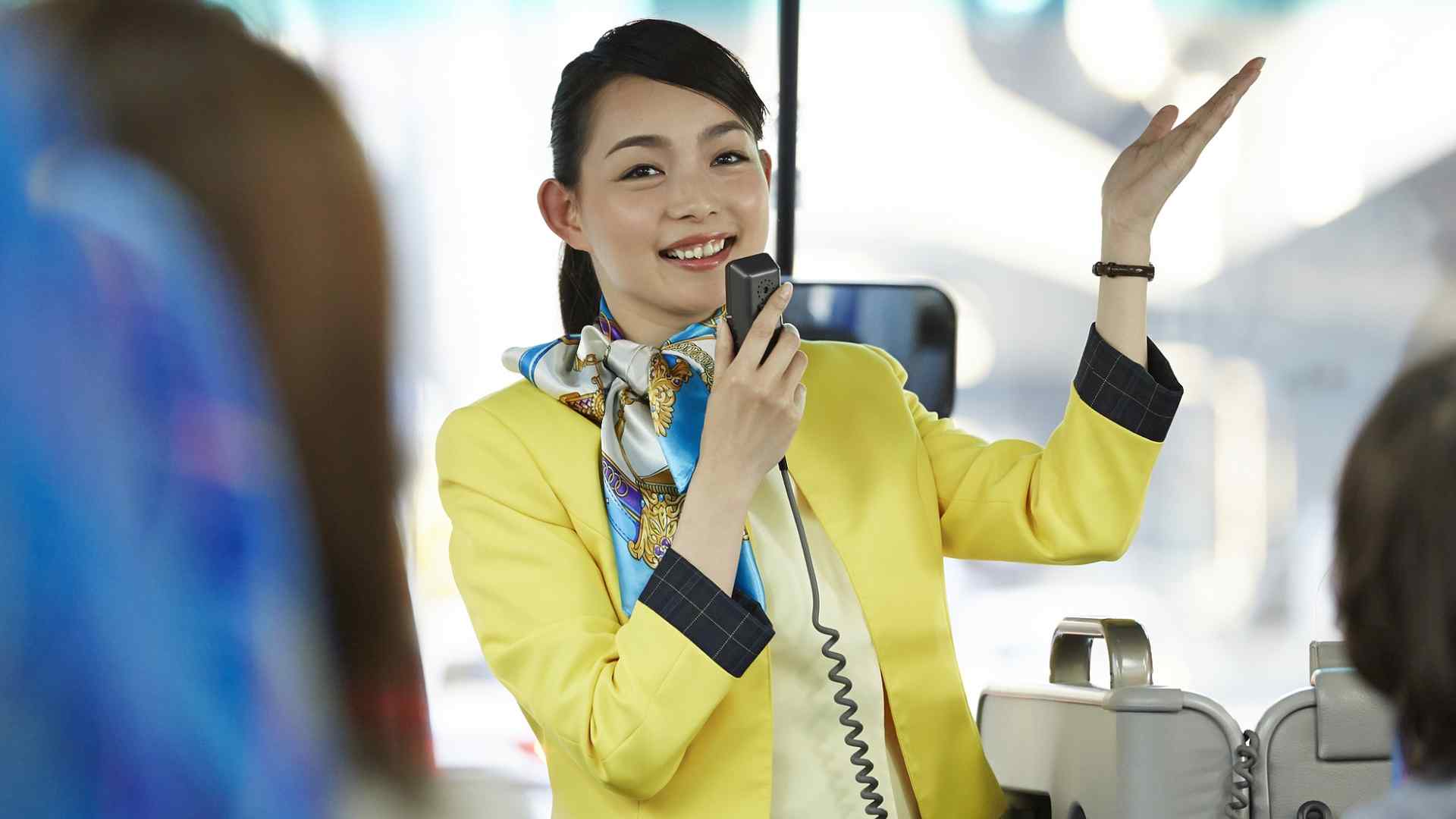 2025电子导游证全新升级 样式颜色等级全解析
