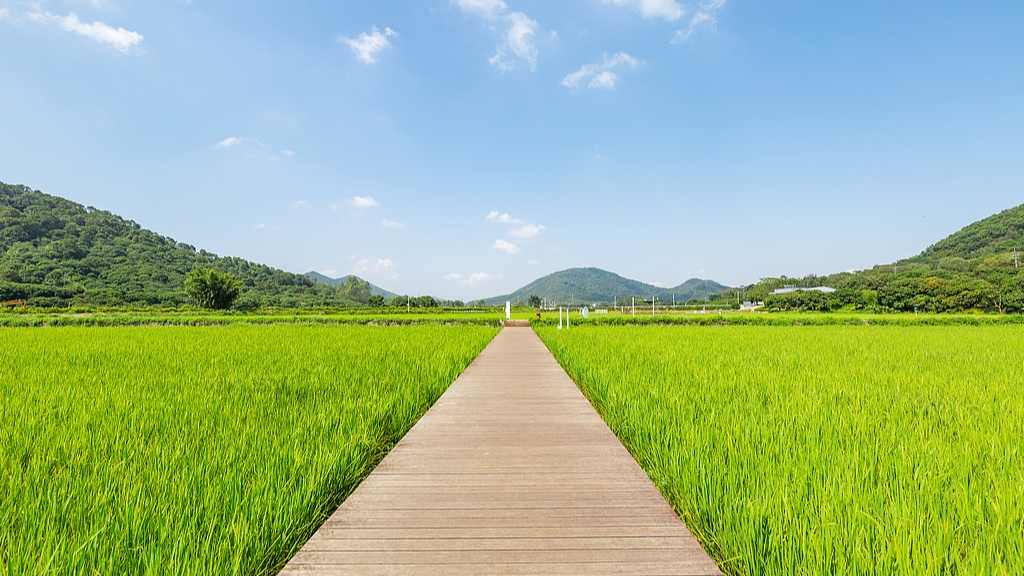 重识家乡游升温，返乡收获四季美景