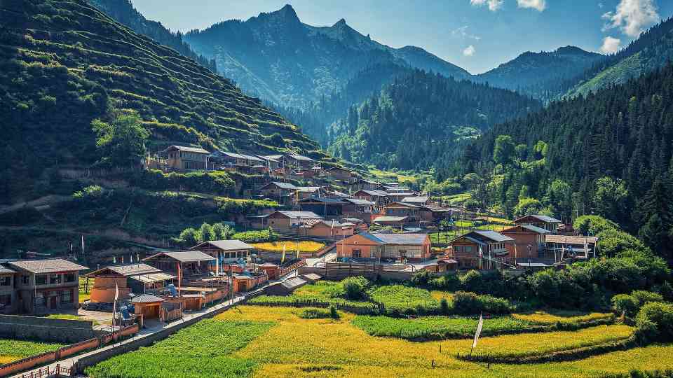 乡村旅游热度飙升 清明假期呈现新消费趋势