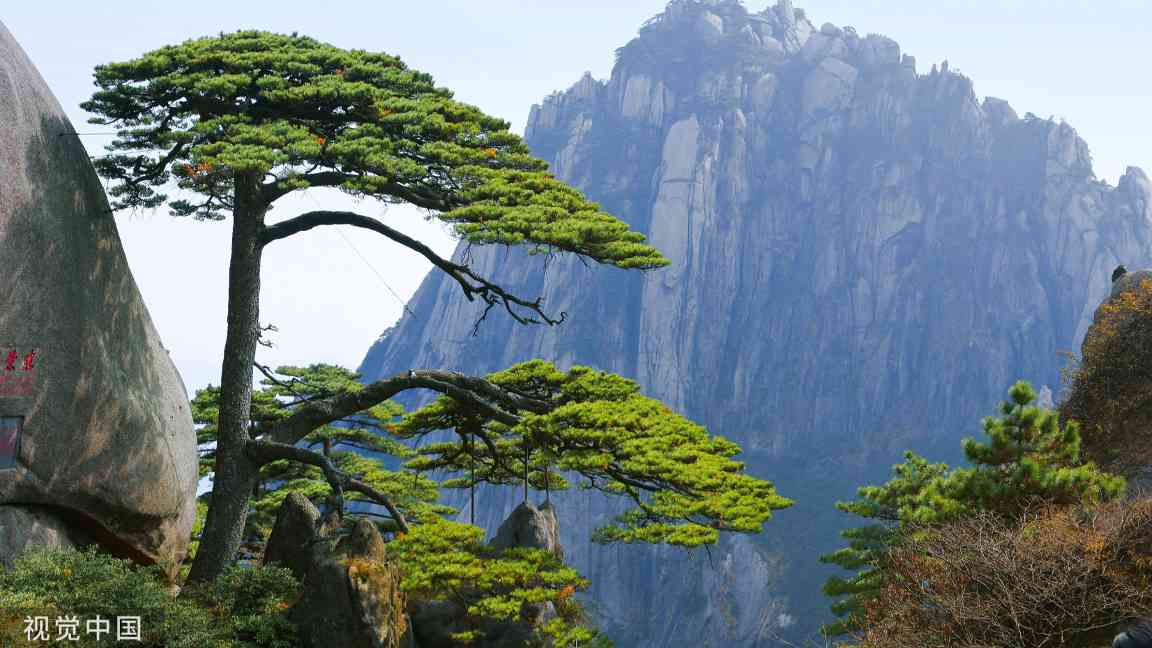 中国旅游日惠民活动：七大场景优惠与文旅体验