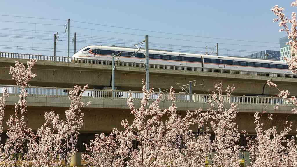 赏花经济赋能文旅转型 乡村振兴与消费升级双轮驱动