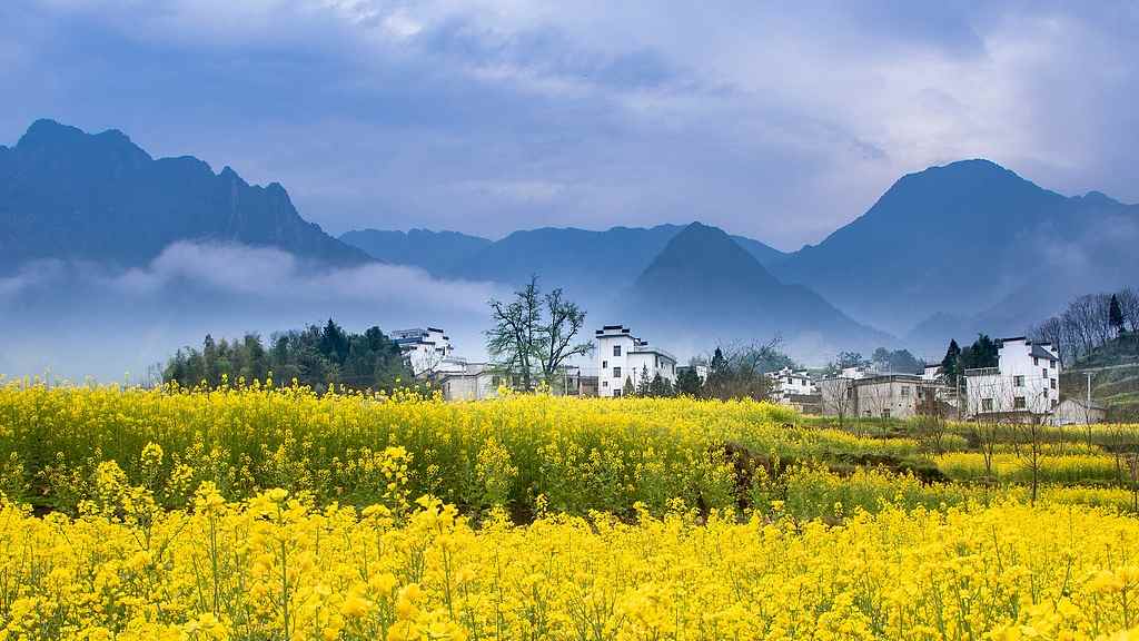 2025清明假期旅游趋势出炉 自驾游和赏花游热度攀升
