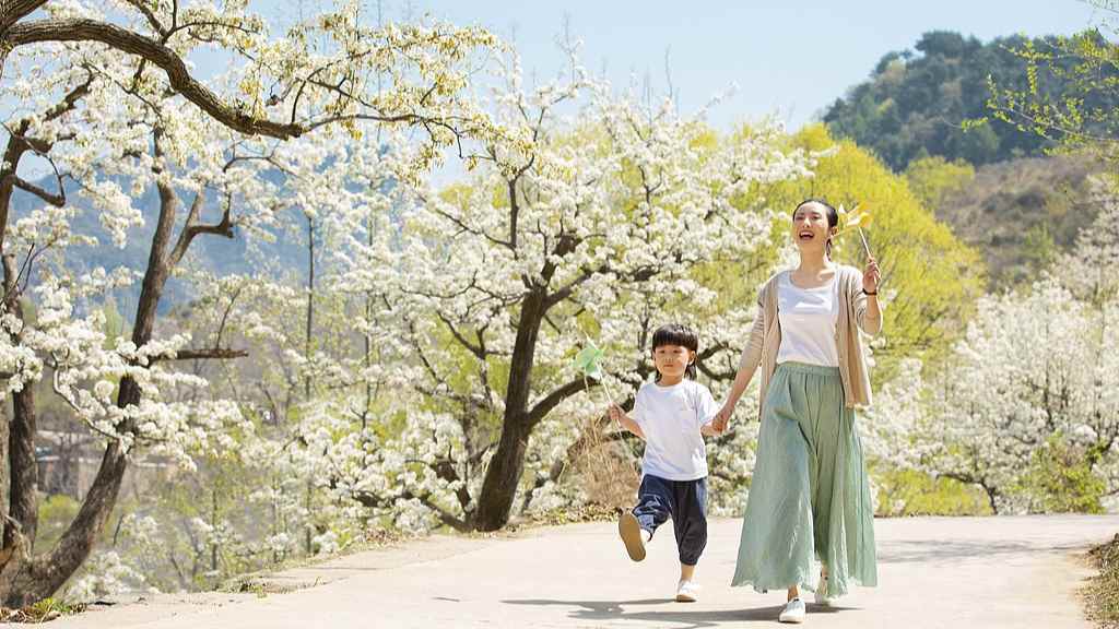 全国赏樱地图详解春季最佳观赏期与游玩方式
