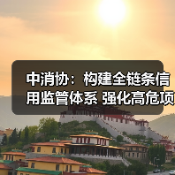 中消协:构建全链条信用监管体系 强化高危项目安全准入与动态监管(图4) 中消协:构建全链条信用监管体系 强化高危项目安全准入与动态监管(图4)
