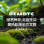 综艺种草 文旅生花――荧屏热助推地方文旅（图1）