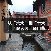 从“六大”到“十大”，“双入选”项目背后的文化密码（图2）