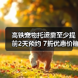 高铁宠物托运需至少提前2天预约 7折优惠价格(图3) 高铁宠物托运需至少提前2天预约 7折优惠价格(图3)