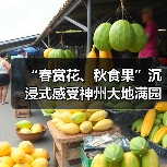 “春赏花、秋食果”沉浸式感受神州大地满园春色和澎湃活力(图1) “春赏花、秋食果”沉浸式感受神州大地满园春色和澎湃活力(图1)