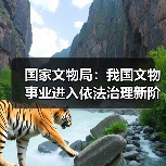 国家文物局：我国文物事业进入依法治理新阶段（图4）