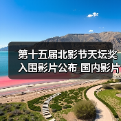 第十五届北影节天坛奖入围影片公布 国内影片有3部（图3）