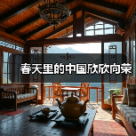 春天里的中国欣欣向荣（图2）