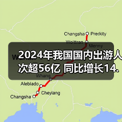 2024年我国国内出游人次超56亿 同比增长14.8%（图3）