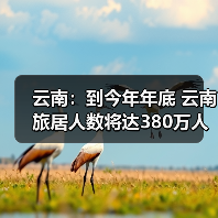 云南旅居持续升温 文旅融合推动高质量发展