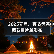 2025元旦、春节优秀电视节目片单发布（图3）