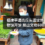 福建平潭壳丘头遗址博物馆开馆 展出文物600多件（图1）