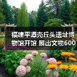福建平潭壳丘头遗址博物馆开馆 展出文物600多件（图2）