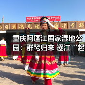 重庆阿蓬江国家湿地公园:群鹭归来 逐江“起舞”(图2) 重庆阿蓬江国家湿地公园:群鹭归来 逐江“起舞”(图2)